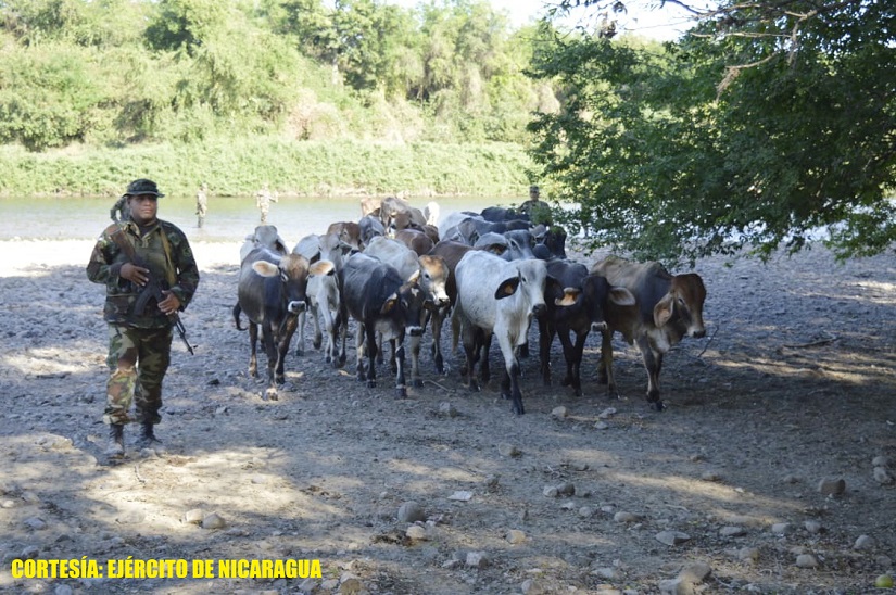 EJERCITO3